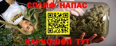 тгк Славгород