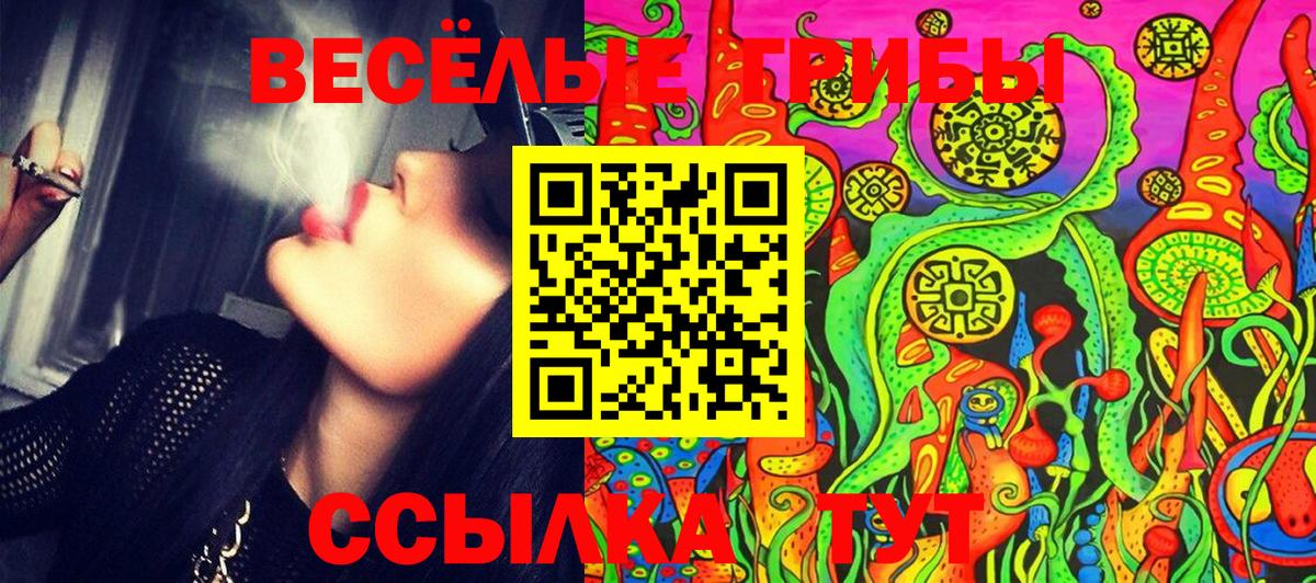 Галлюциногенные грибы Cubensis Светлоград